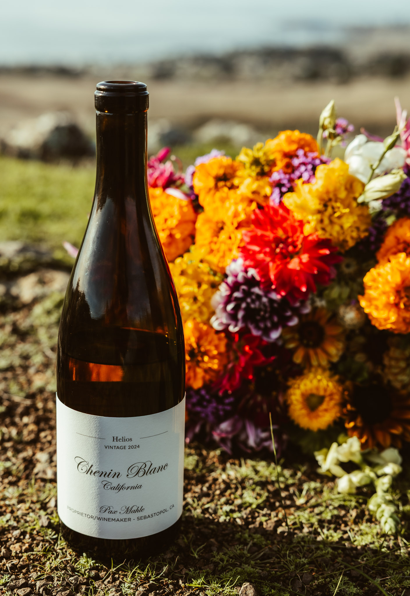 Sunny Mitchell portrait